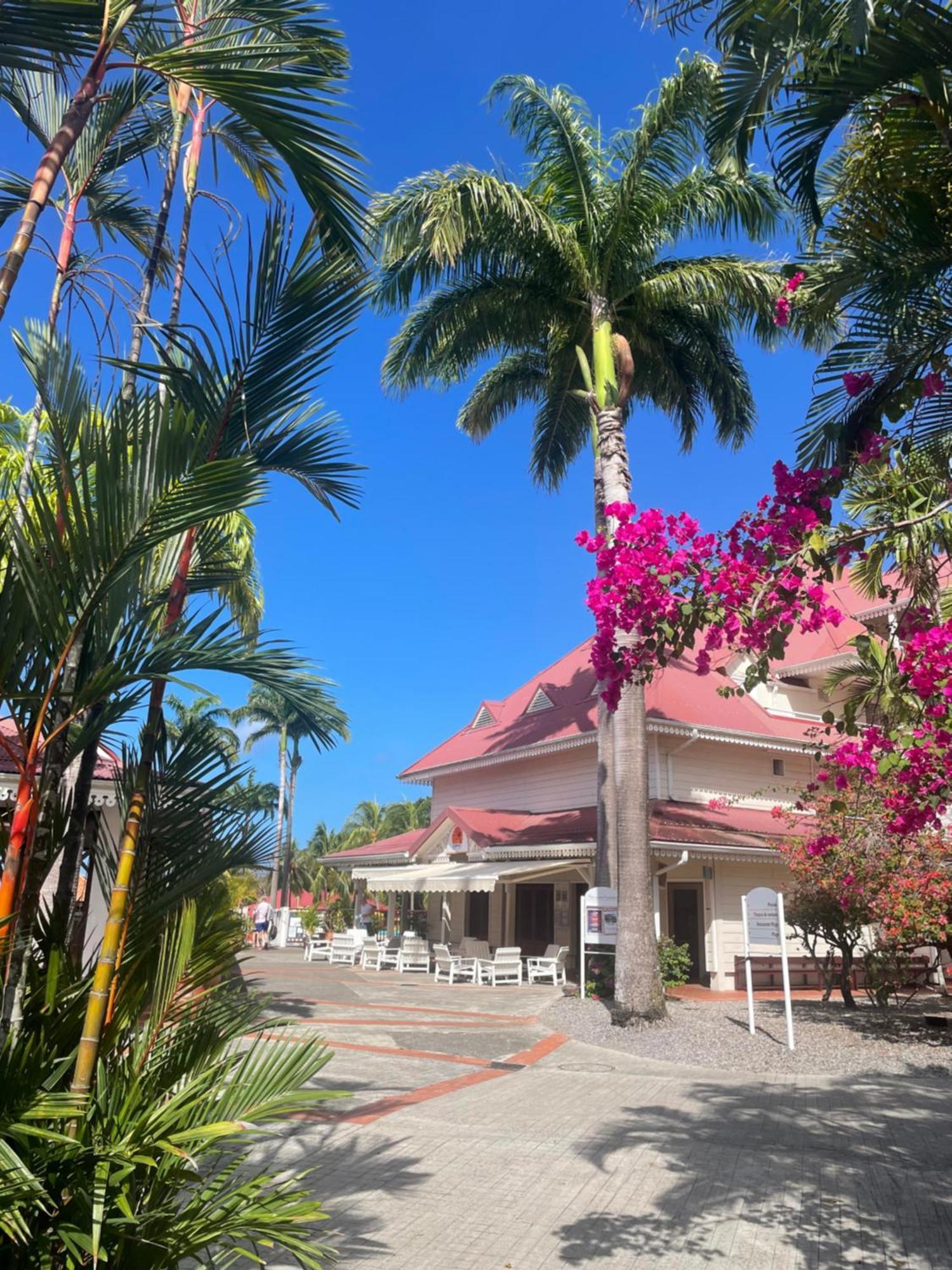 Couleur Caraibes-Cocobeach Martinique Pierre Et Vacances Sainte-Luce Buitenkant foto