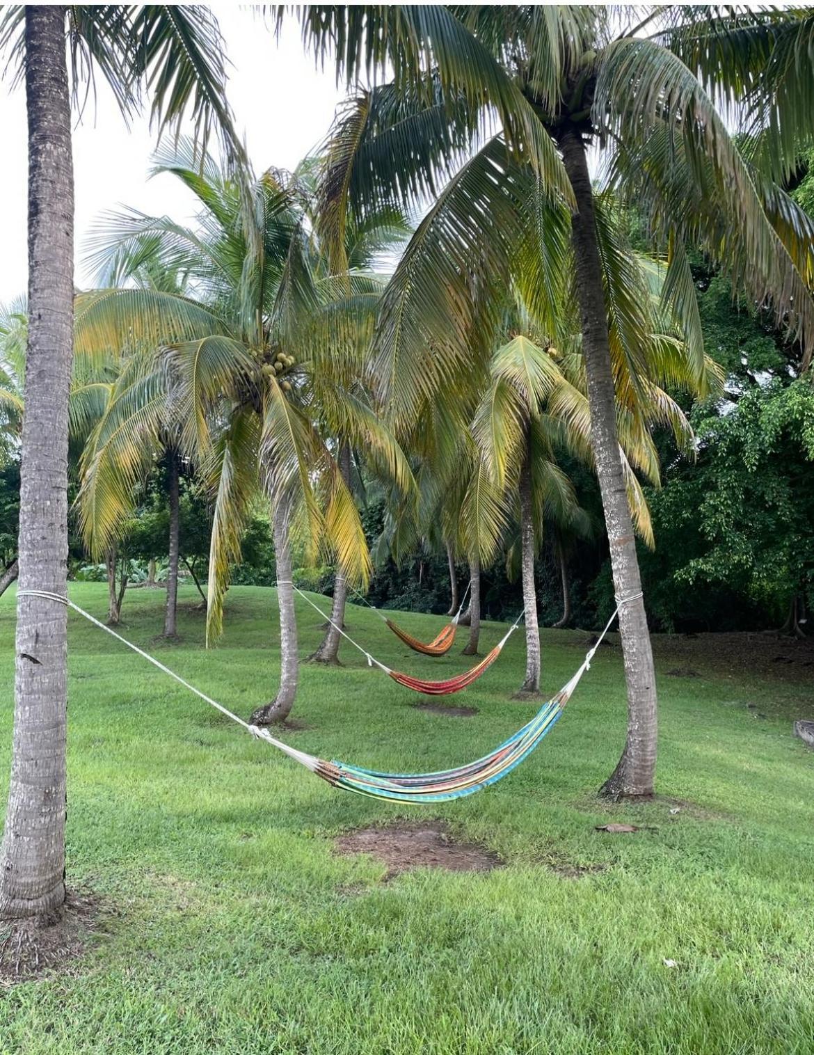 Couleur Caraibes-Cocobeach Martinique Pierre Et Vacances Sainte-Luce Buitenkant foto